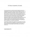 Cuento El Conejo, la serpiente y el humano