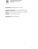 IDENTIFICACIÓN DE CAMBIOS FÍSICOS Y QUÍMICOS