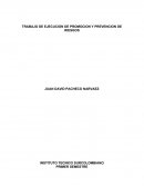 TRABAJO DE EJECUCION DE PROMOCION Y PREVENCION DE RIESGOS