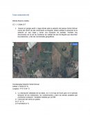 Tarea colaborativa #2