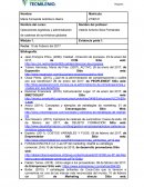 Operaciones logísticas y administración de cadenas de suministros globales