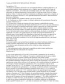 Tutoría de DERECHO INTERNACIONAL PRIVADO