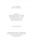 CALCULO DIFERENCIAL Momento 1 - Actividad Colaborativa 1