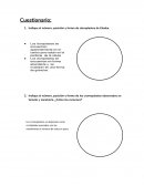 Cuestionario. Indique el número, posición y forma de cloroplastos de Elodea