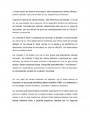 La línea celular del sistema inmunológico