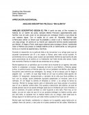 ANÁLISIS DESCRIPTIVO PELÍCULA “SIN ALIENTO”