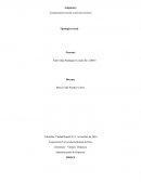 Comunicación escrita y procesos lectores Tipología textual