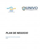 PLAN DE NEGOCIO soluciones integrales de comunicación estratégica