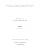¿Cuáles son las ventajas y desventajas que identificamos de las organizaciones que hacen economía solidaria?