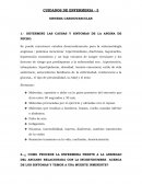 CUIDADOS DE ENFERMERIA - 3 SISTEMA CARDIOVASCULAR