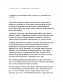 Crecimiento del arte y el trabajo callejero en los semáforos