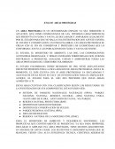 ENSAYO AREAS PROTEGIDAS