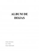 ALBUM DE HOJAS