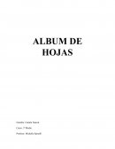 Album de hojas 3º Medio