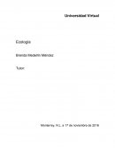 Uso de la eco tecnología en México