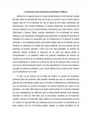 La bicicleta como transporte sostenible en México