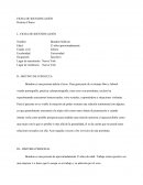 Historia Clínica del personaje de "La Chica Danesa"