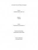 Evidencia de Aprendizaje: Características del administrador