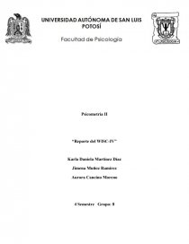 Psicometría II “Reporte del WISC-IV”. Página 1