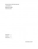 Niveles de la cultura Teoría de la cultura