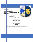 EL RIESGO MEDIDO EN LOS FLUJOS DE PROYECTO