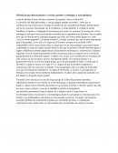 Filosofía griega (Representantes y escuelas, periodos Cosmológico y Antropológico)