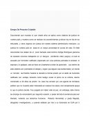 Tema- Ensayo De Presunto Culpable