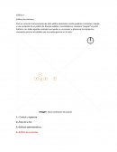 No construyamos jardines pequeños matando naturaleza enorme, construyamos paraderos de belleza natural