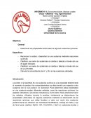 INFORME N° 8: Soluciones ácidas, básicas y sales