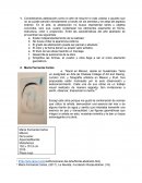 Abstracción ensayo de arte