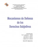 Mecanismos de defensa de derechos subjetivos