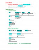ENLACE PEPTIDICO