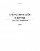 La Revolución Industrial permite la aparición de las primeras empresas integradas con la necesidad de organizarse en estructura de administración jerárquica y de desarrollar sistemas