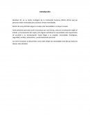 Piramide de maslow Desarrollo “La teoría de Maslow°