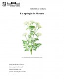 La Apología de Sócrates Informe de lectura