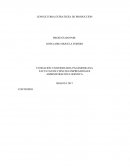 CONSULTORIA ESTRATEGÍA DE PRODUCCIÓN