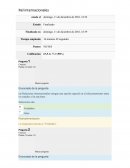 Enunciado de la pregunta las Relaciones internacionales otorgan una opción especial en el relacionamiento entre los estados y las naciones