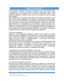 El narcotrafico. Ensayo