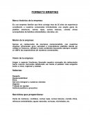FORMATO BRIEFING