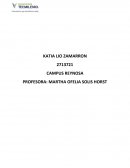 SITUACION ACTUAL DEL NEGOCIO