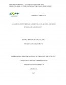 ANÁLISIS DE SOSTENIBILIDAD AMBIENTAL EN EL QUINDÍO: EMPRESAS PÚBLICAS DE ARMENIA ESP