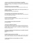 Pasos básicos de Office word.