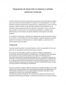Respuestas de desarrollo en plantas e señales externas e internas