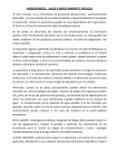 El buen manejo, uso y eliminación de productos agroquímicos - particularmente pesticidas - es una cuestión de un medio ambiente y salud importante en los países en desarrollo