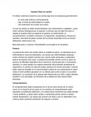 Examen físico en cerdos