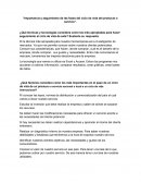 Importancia y seguimiento de las fases del ciclo de vida del producto o servicio