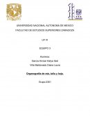 Organografía de raíz, tallo y hoja.