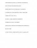 Analisis SISTEMAS DE INFORMACION GEOGRAFICA