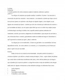 Las drogas y su adiccion