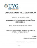 Administracion en el sistema de la organizacion
